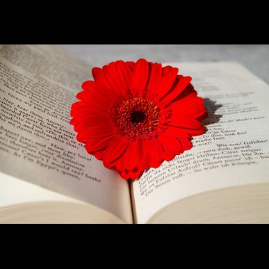 田川で安心の老人ホーム